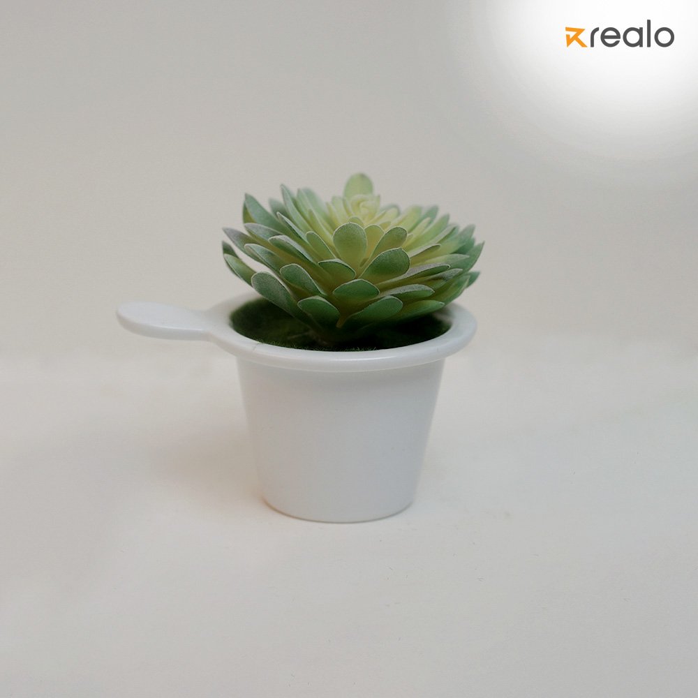 Mexican Snow Ball-Green - Image 2