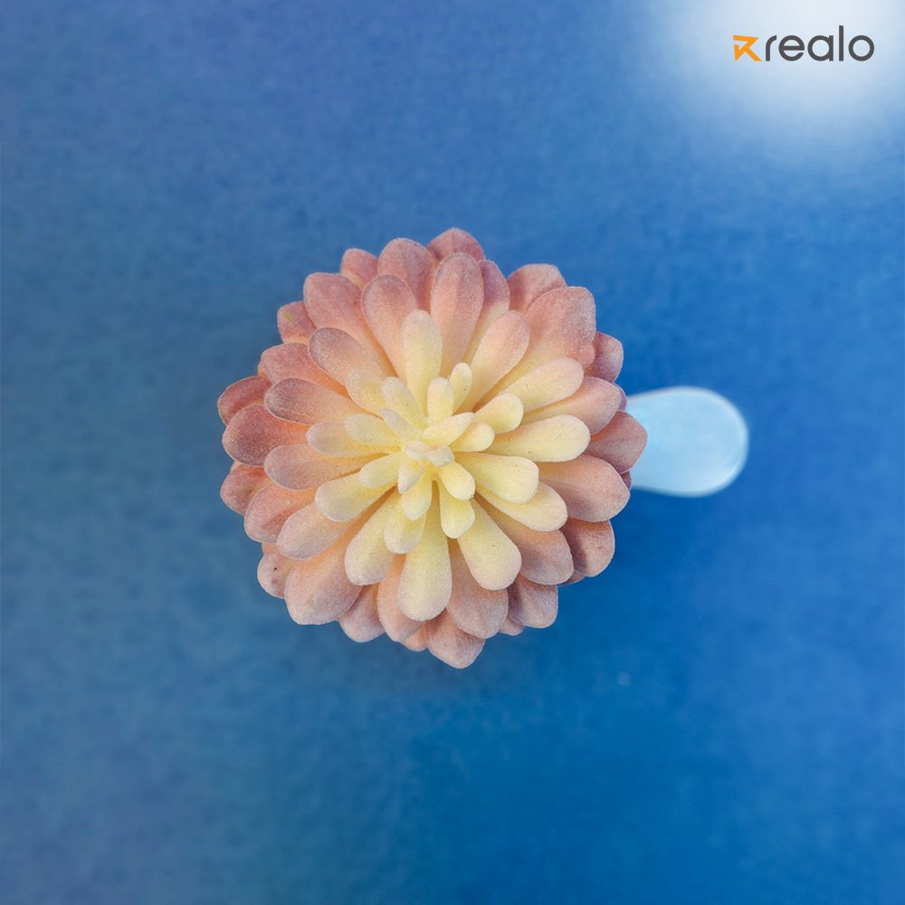 Mexican Snow Ball-Pink - Image 2