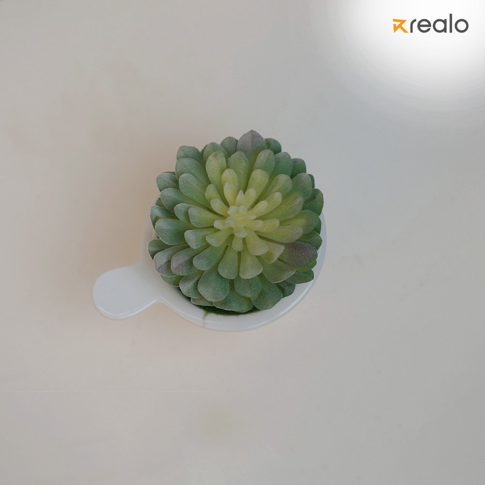 Mexican snow ball - Image 3