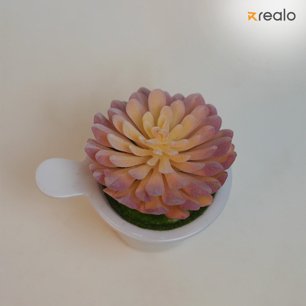 Mexican Snow Ball-Pink - Image 4