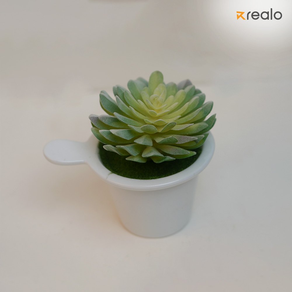 Mexican snow ball - Image 4