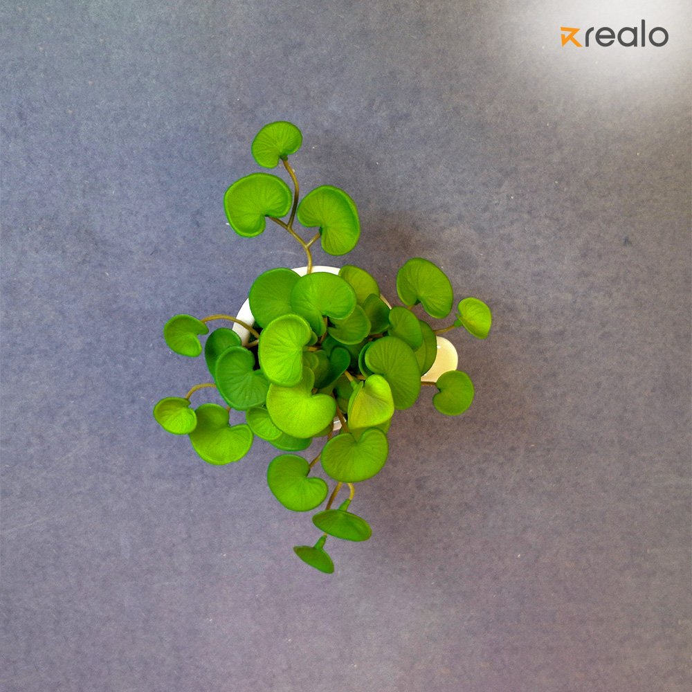 Artificial Thankuni flower - Image 3