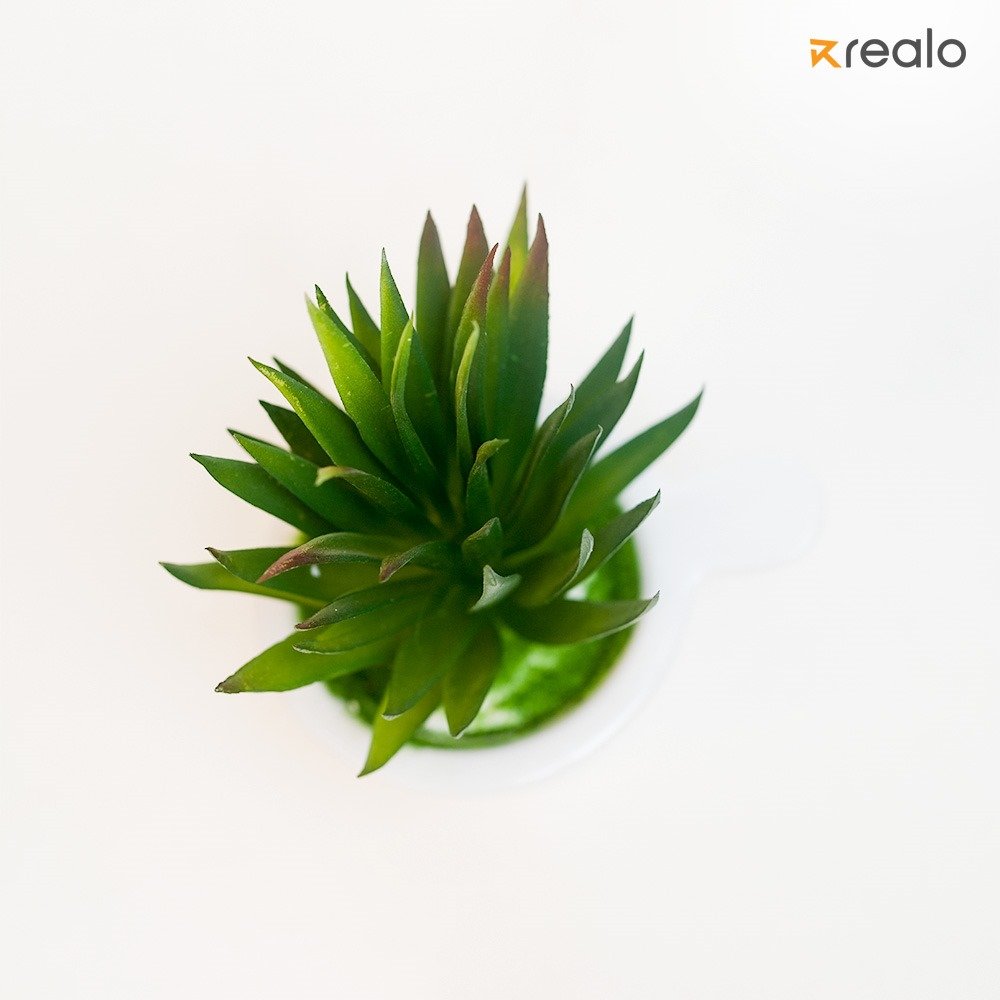 artificial succulent - Image 2