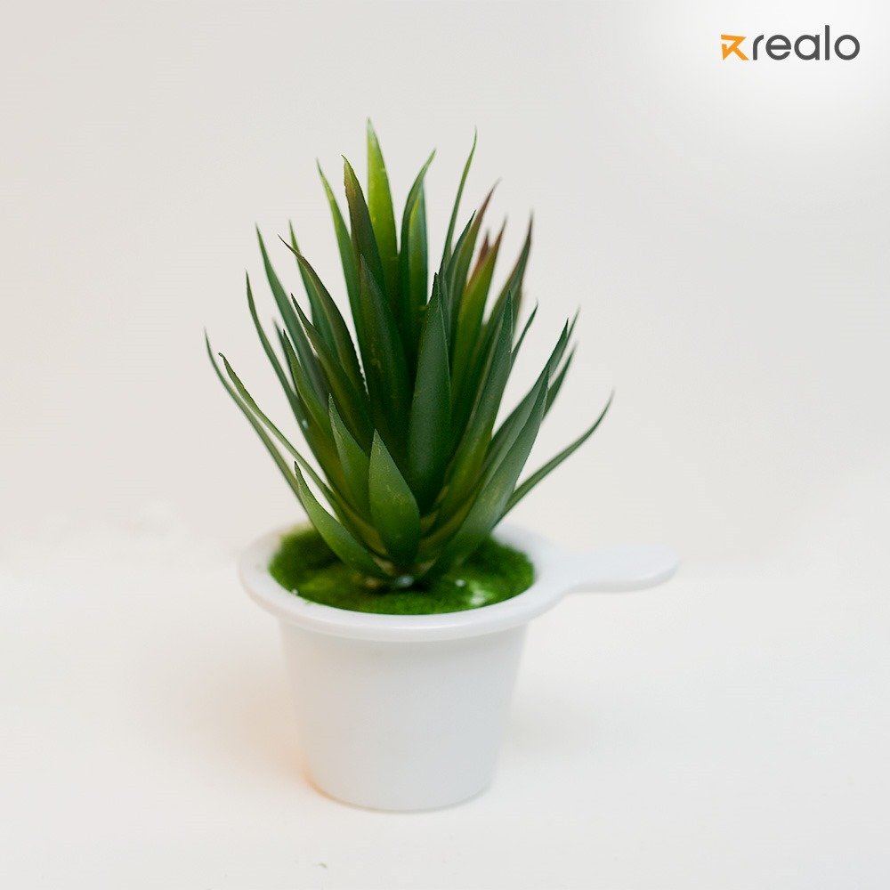 artificial succulent - Image 4