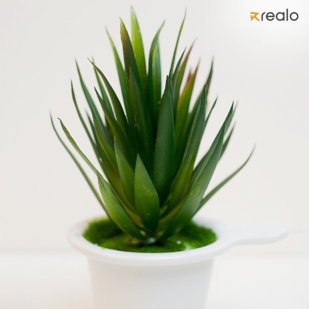 artificial succulent - Image 3